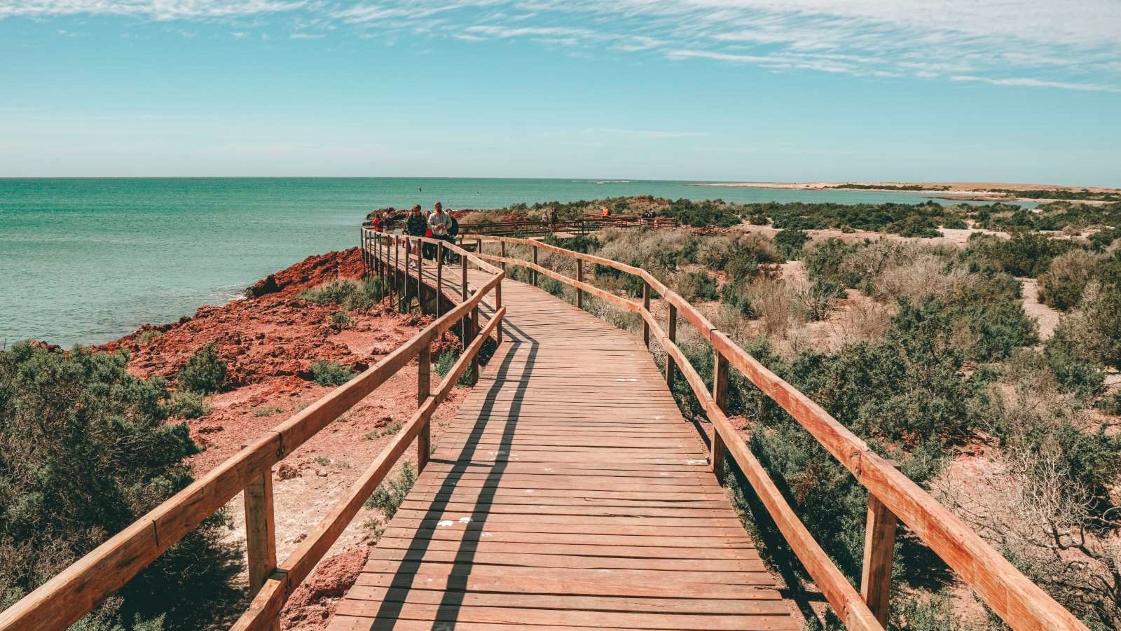 rondreis argentinie valdes puerto madryn, houten pad in de natuur