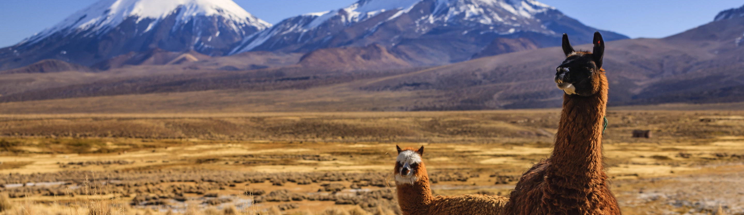 Rondreis Bolivia, Andes header