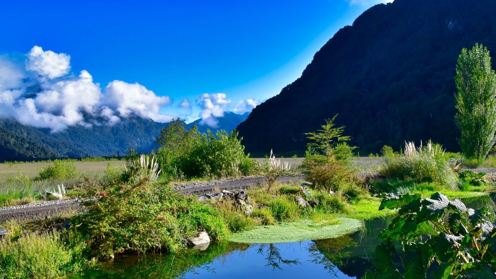 Rondreis Chili, Puerto Varas, landschap