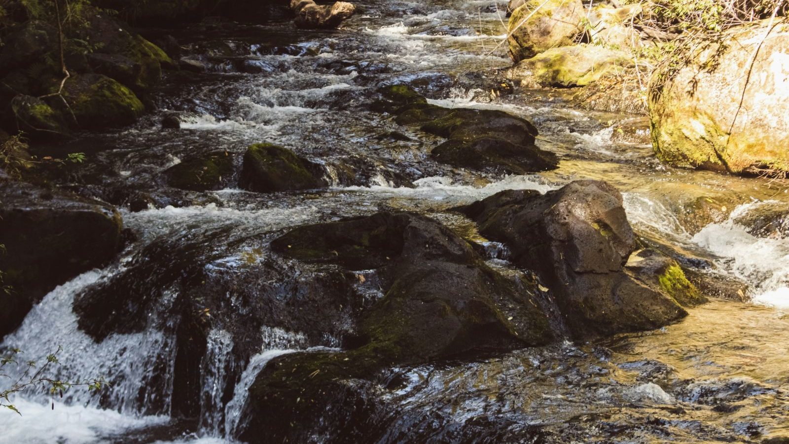 Rondreis Chili, Puyehue, Kleine rivier