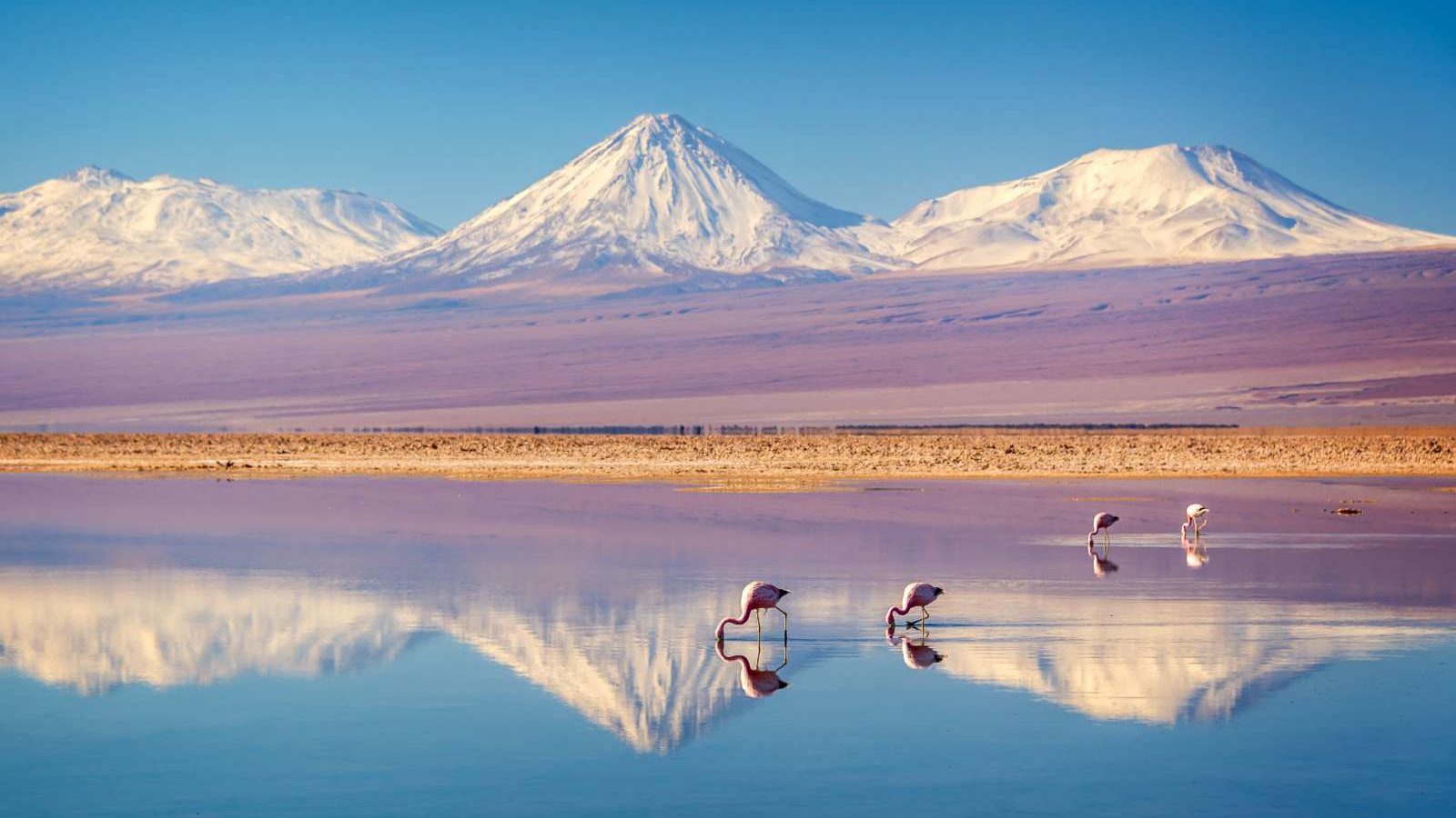 Rondreis Chili, San pedro de atacama, flamingo's, meer en bergen