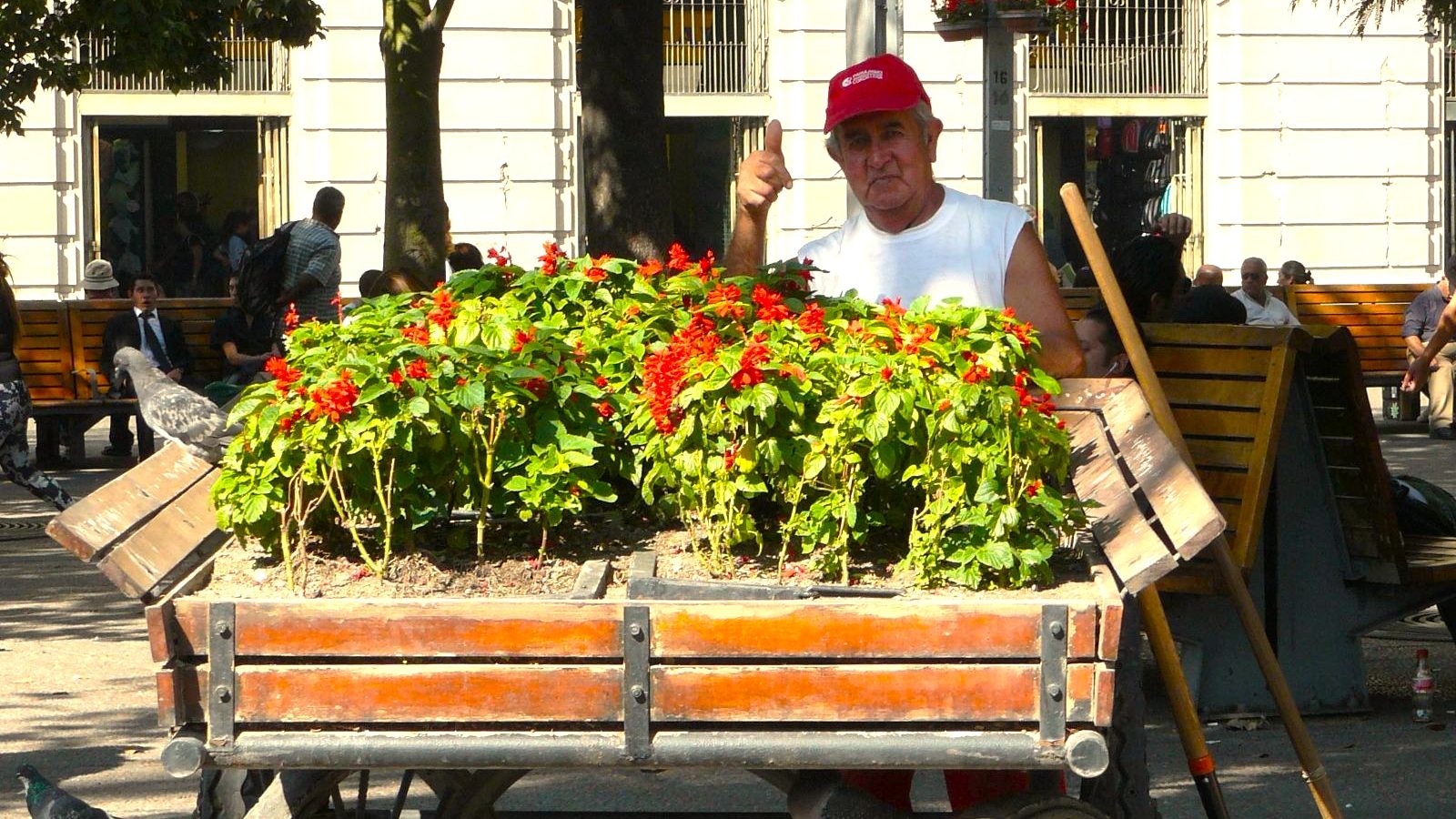 Rondreis Chili, Santiago de Chili, man met bloemen