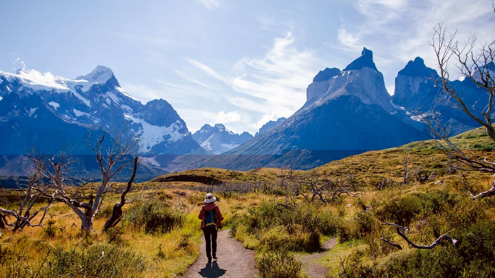 rondreis chili, torres del paine , weg met hiker
