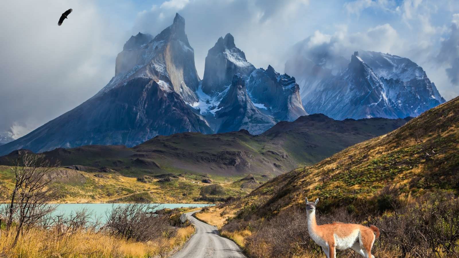 rondreis chili, torres del paine , weg door landschap