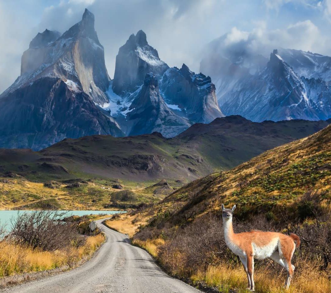 rondreis-chili-torres-del-paine-hoogtepunt-16-aspect-ratio-382-420-aspect-ratio-565-500