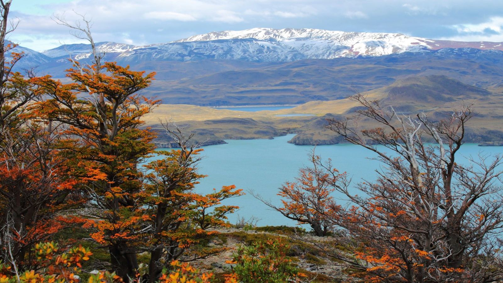 Rondreis Chili, Torres del Paine, omgevingsfoto van de natuur