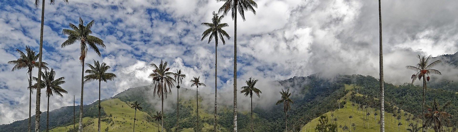 rondreis-colombia-armenia-valle-de-cocora-hoogtepunt-aspect-ratio-1512-438
