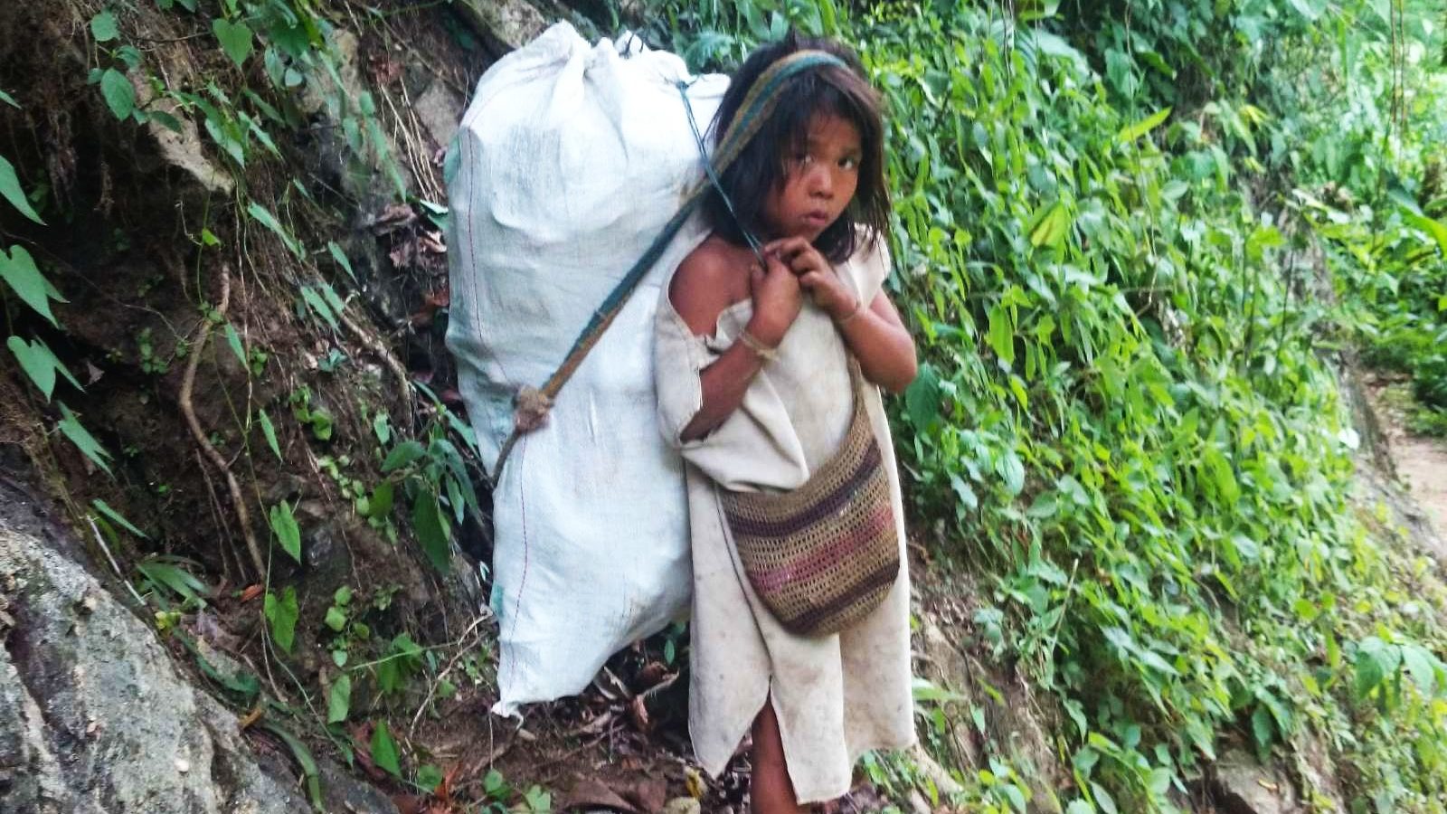 rondreis colombia ciudad perdida trekking, local