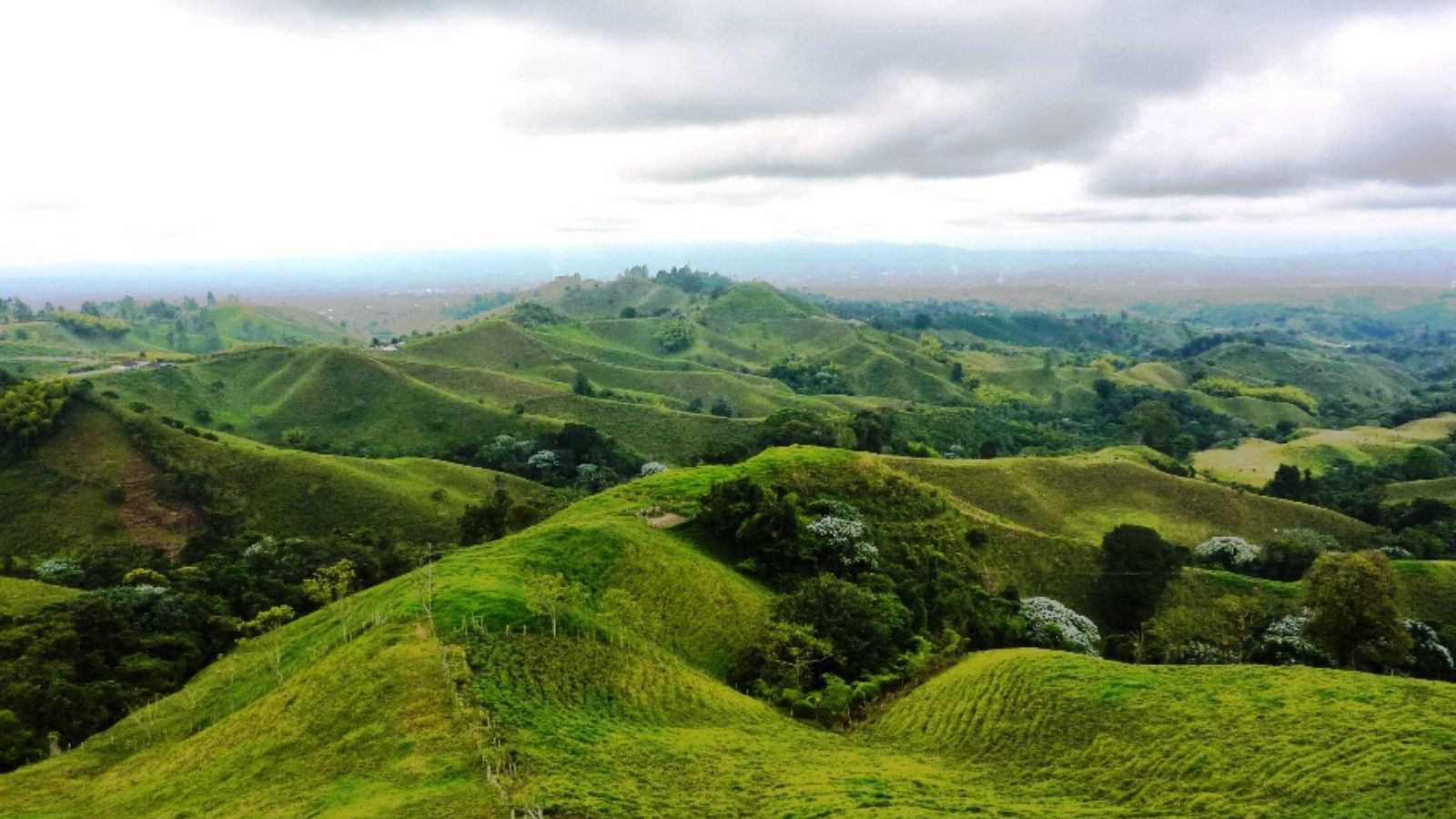 rondreis colombia, koffieregio heuvels