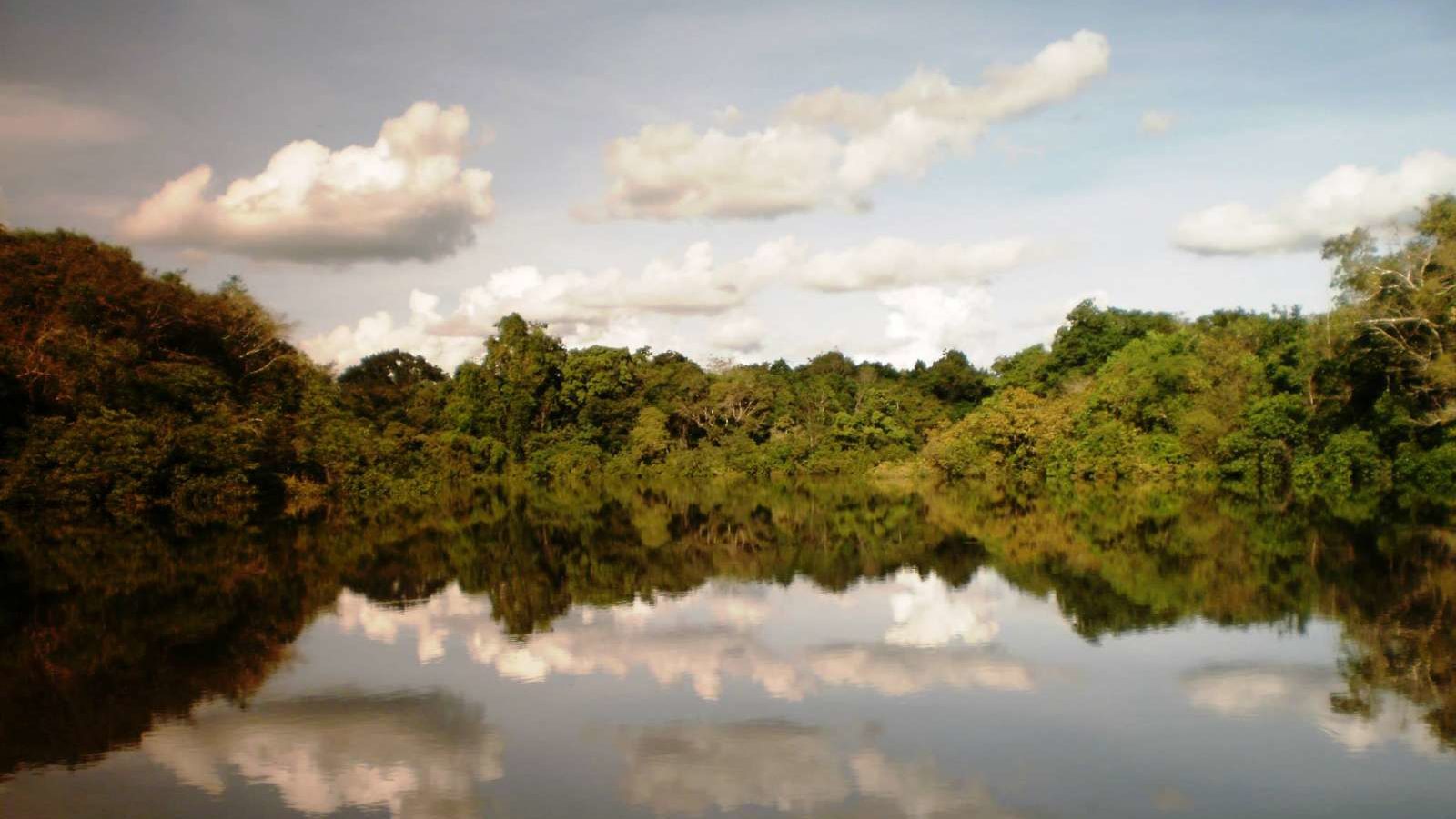rondreis colombia leticia amazone jungle, meer met jungle