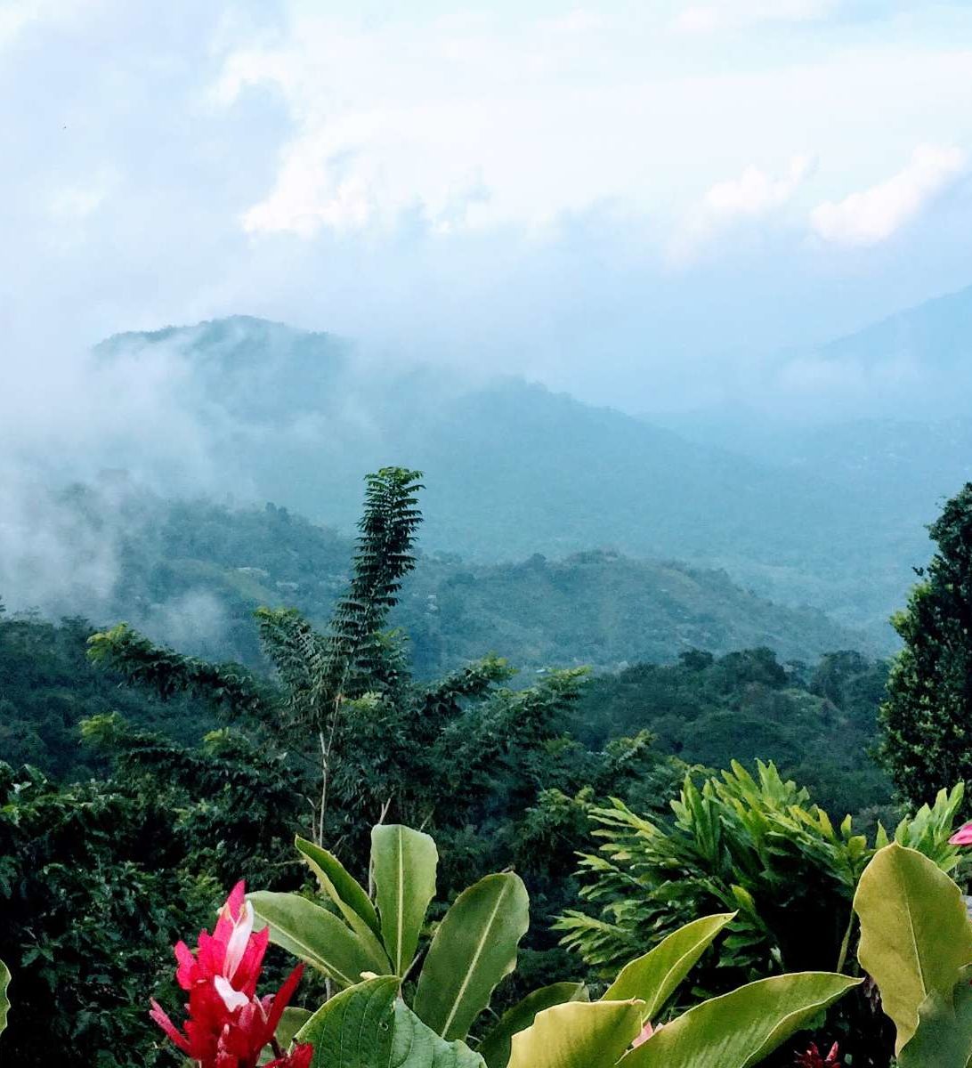 rondreis-colombia-minca-hoogtepunt-5-aspect-ratio-382-420