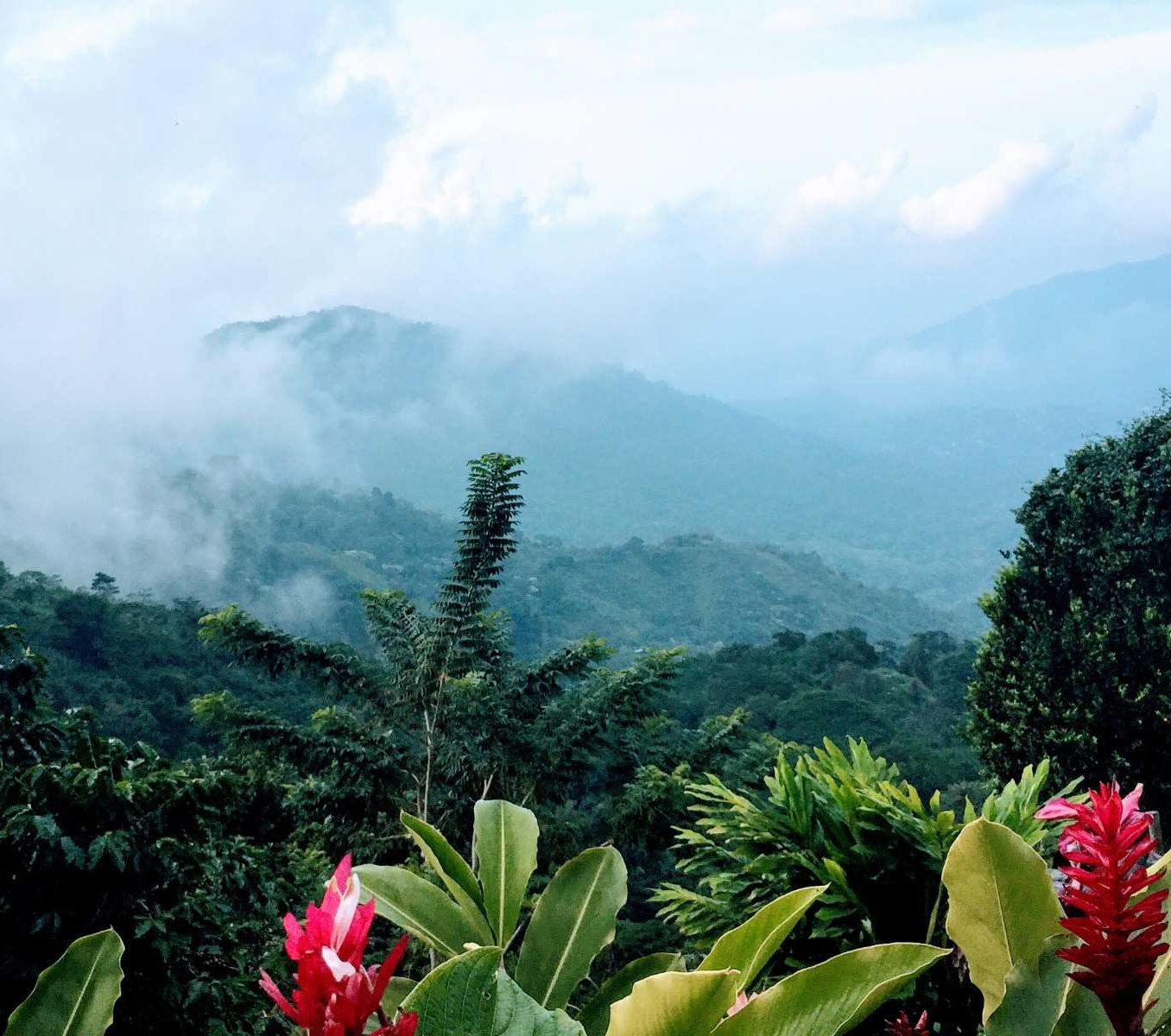 rondreis-colombia-minca-hoogtepunt-5-aspect-ratio-565-500