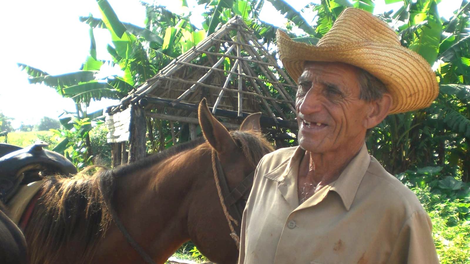 Rondreis Cuba, Vinales Vallei, lokale inwoner met een paard