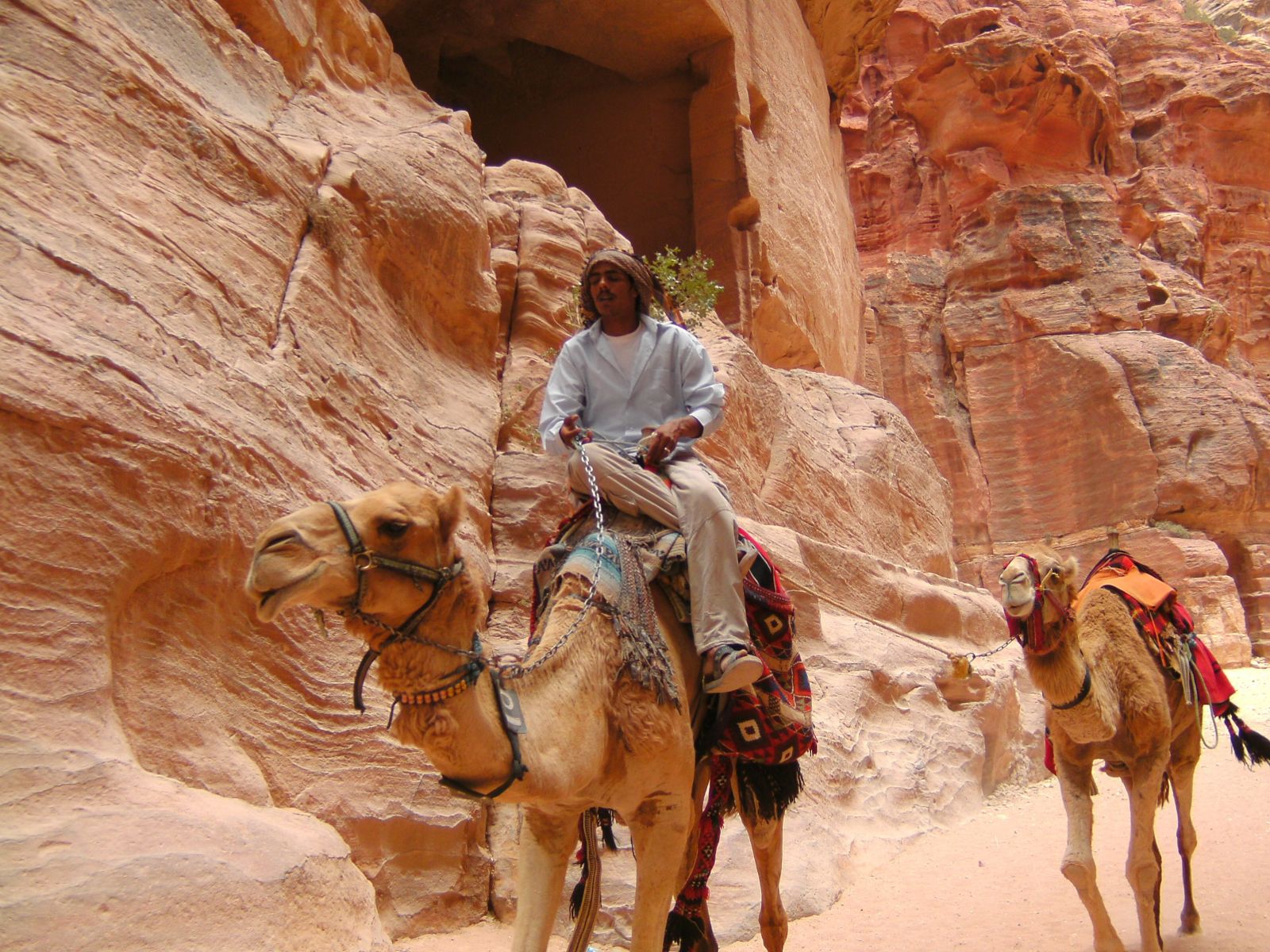 rondreis jordanie petra man op een dromedaris
