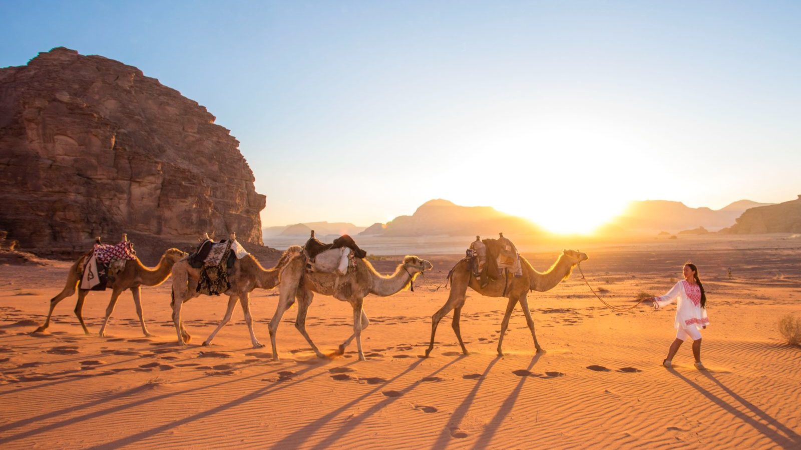 rondreis-jordanie-wadi-rum-woestijn-dromedarissen