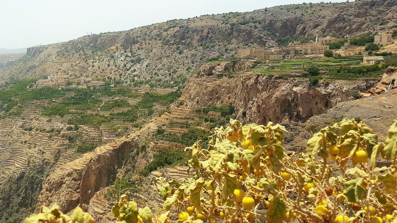 rondreis oman, jebel akhdar gebergte Dorp