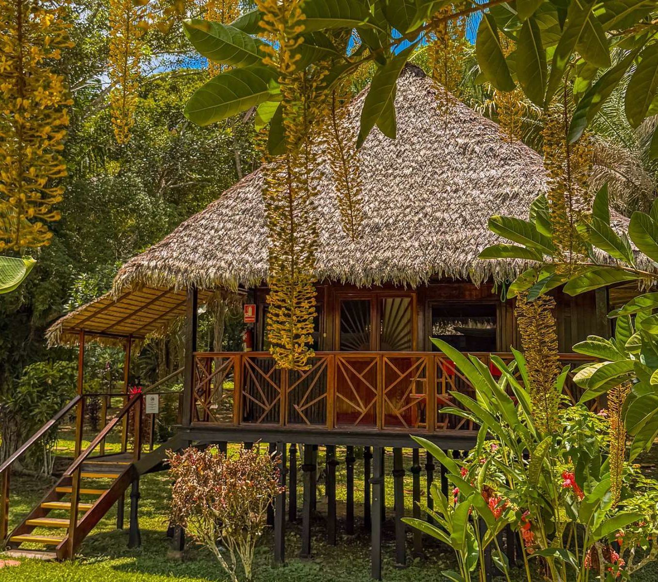 rondreis peru amazone puerto maldonado corto maltes amazonia lodge buitenaanzicht verblijf