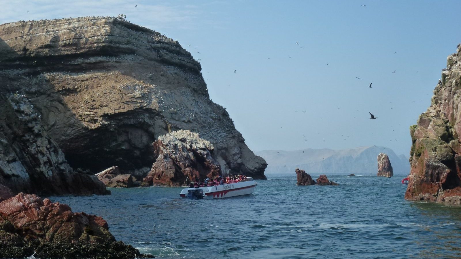 Rondreis Peru, Ica, Ballestas eilanden excursie