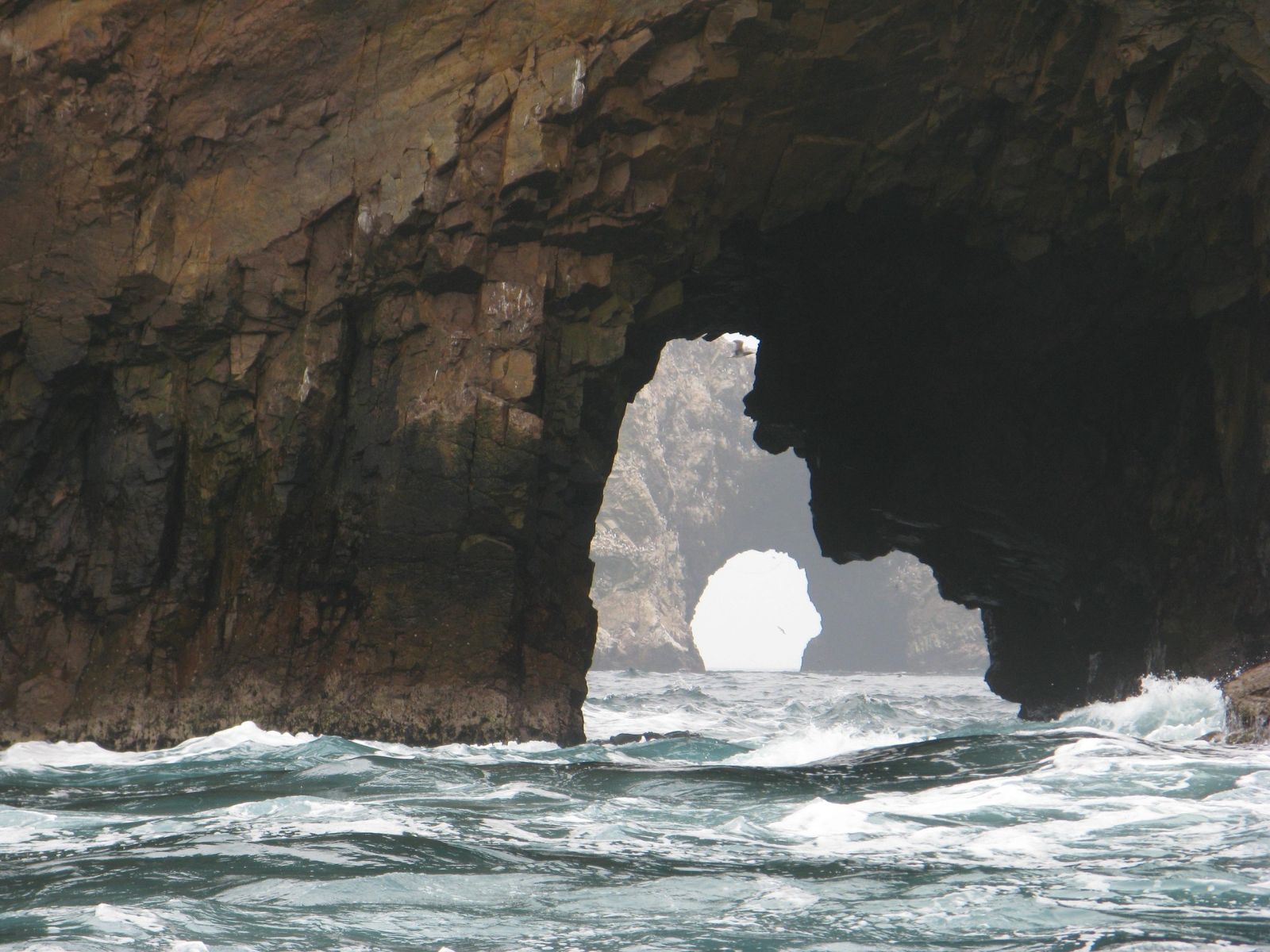 rondreis peru ica ballestas eilanden excursie x (5)