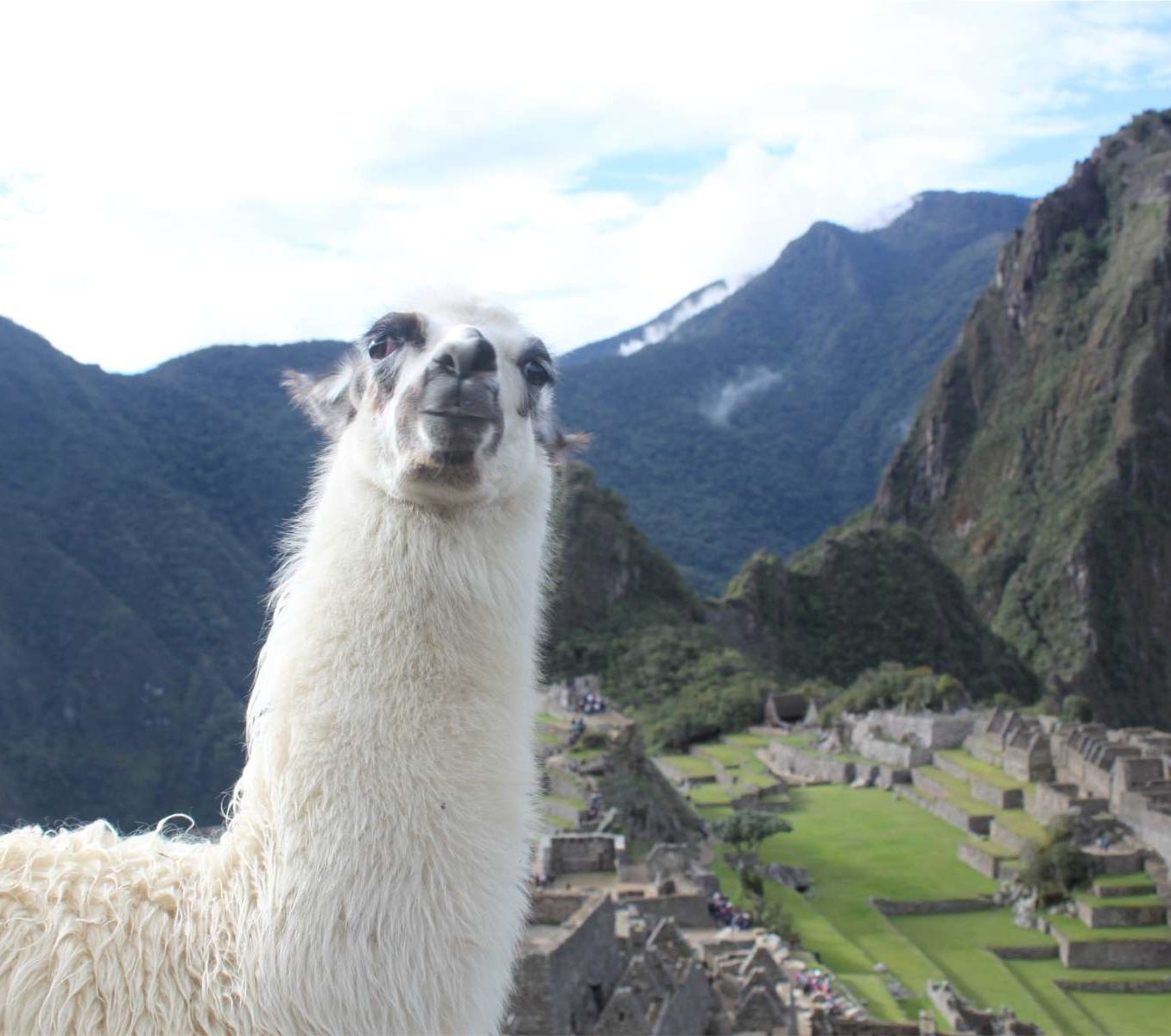 rondreis-peru-machu-picchu-hoogtepunt-2-aspect-ratio-565-500