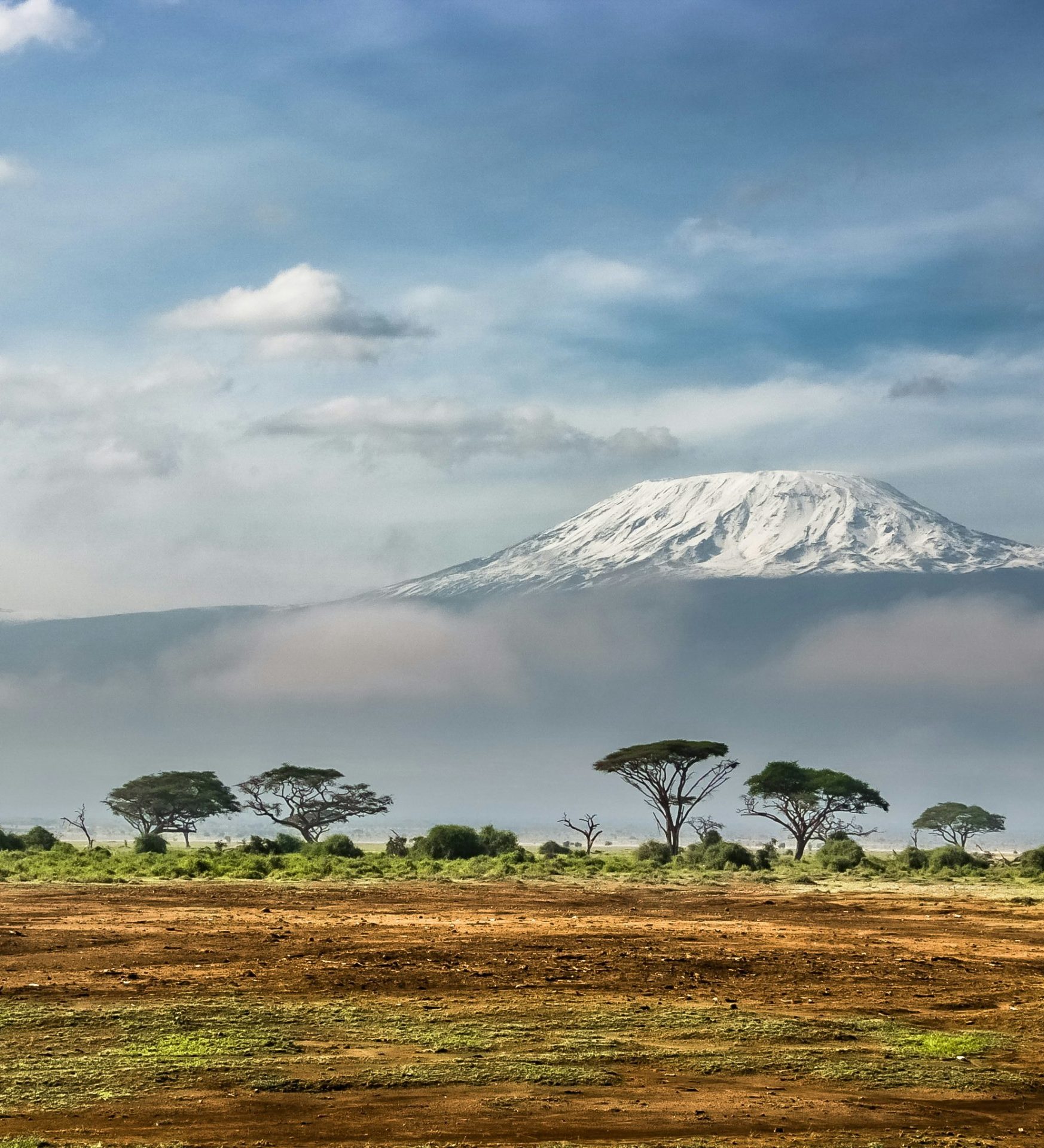 Rondreis Kenia, Amboseli National Park met de Kilimanjaro op de achtergrond