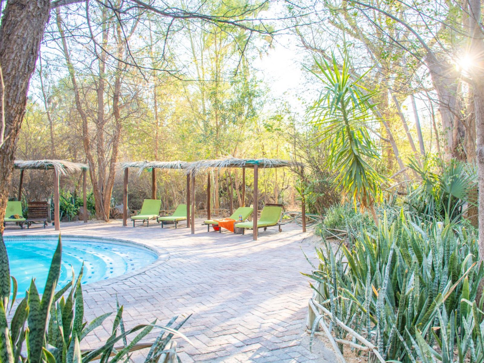 Rondreis Botswana, Nata, Nata Lodge, Zwembad