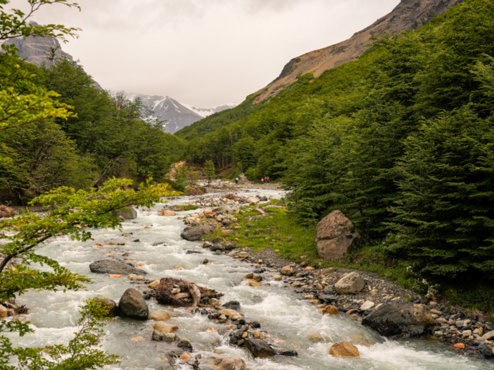 Rondreis Chili, Torres del Paine, Camping Chileno, omgeving