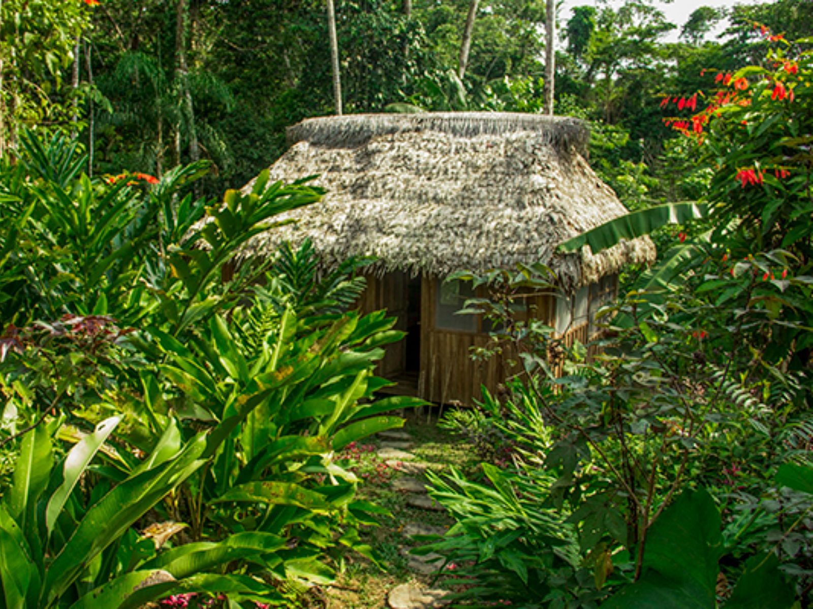 Rondreis Colombia, Leticia, Yoi Eco tours, lodge tussen de planten