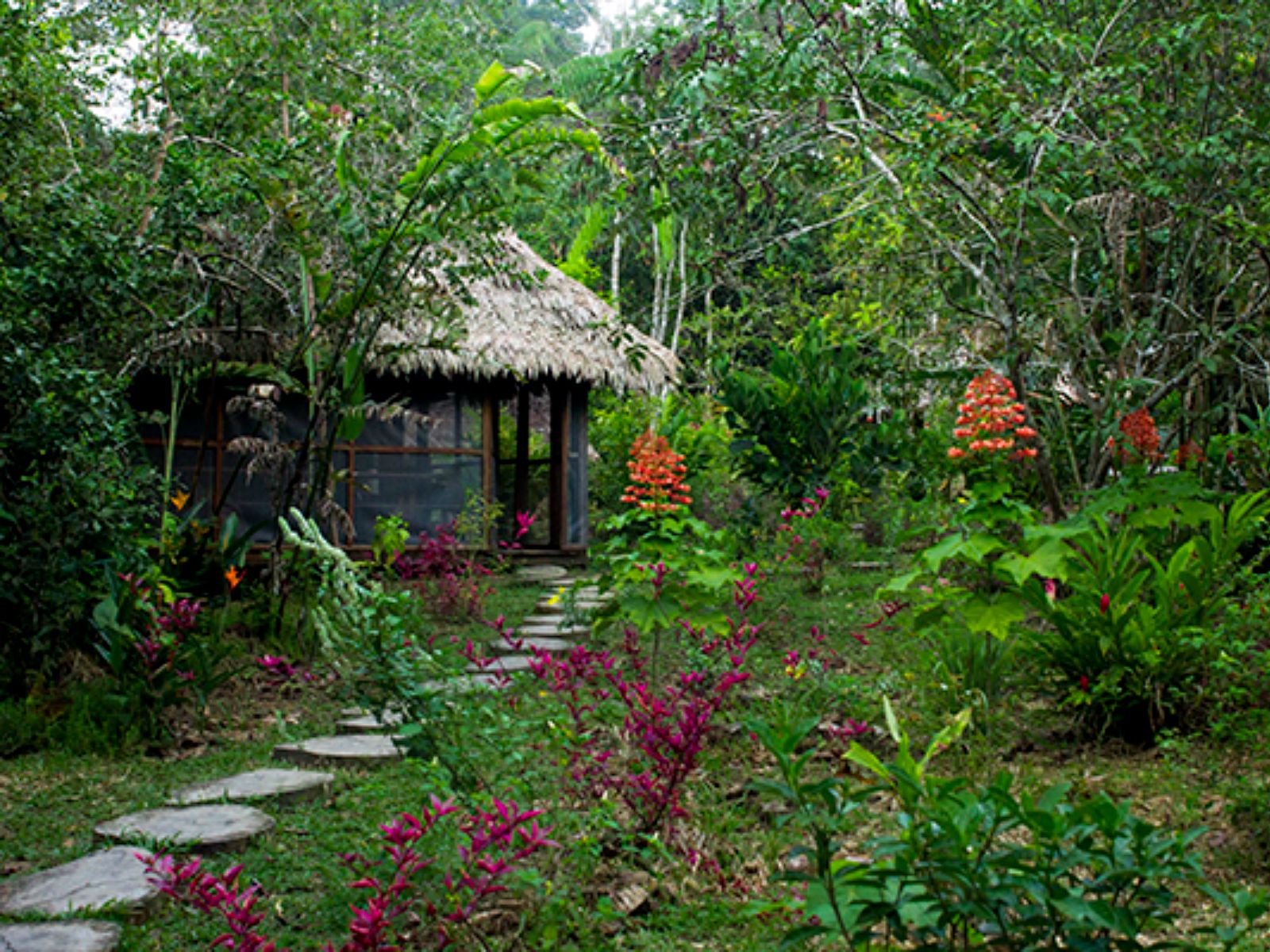 Rondreis Colombia, Leticia, Yoi Eco tours, lodge