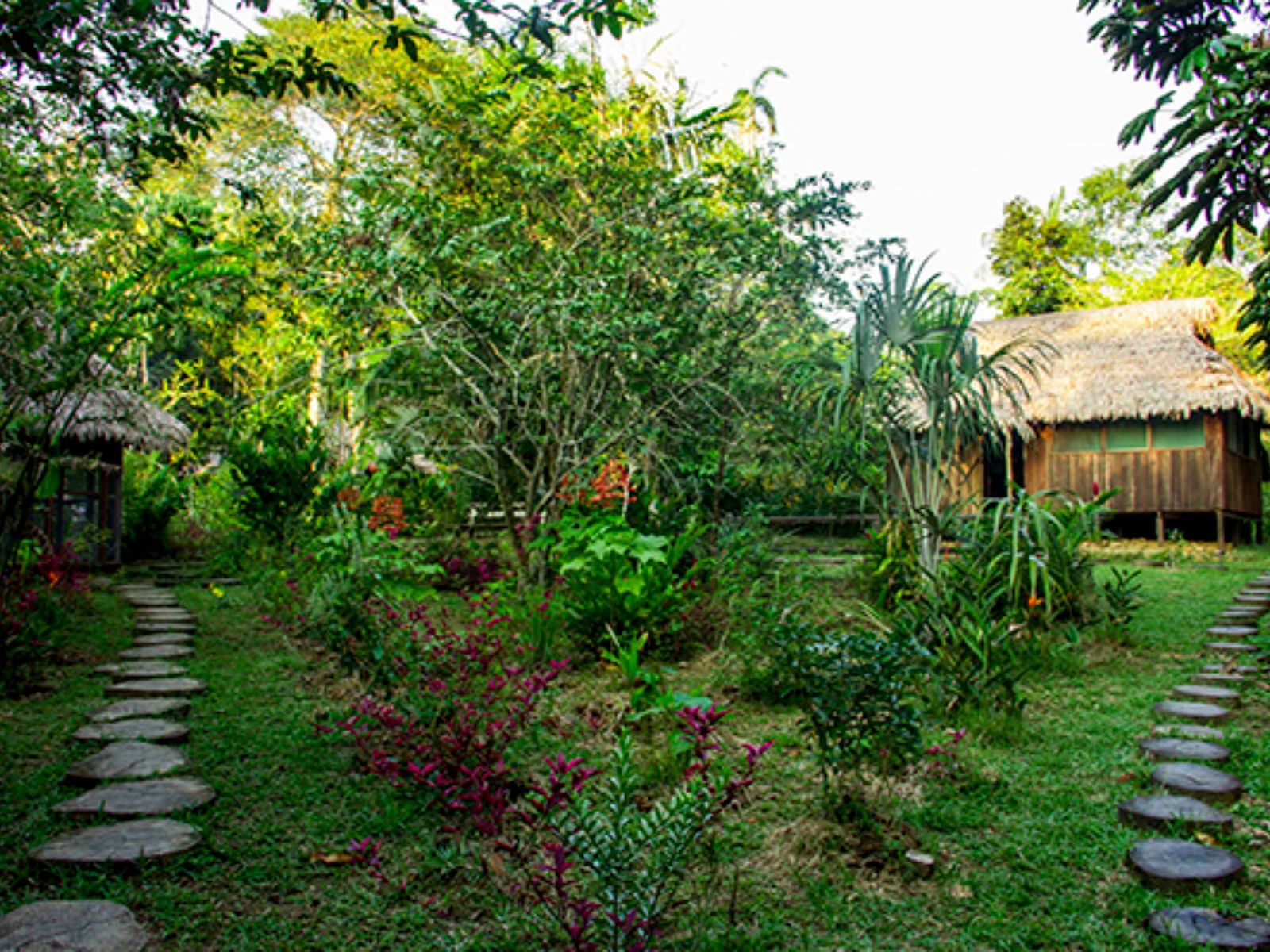 Rondreis Colombia, Leticia, Yoi Eco tours, pad
