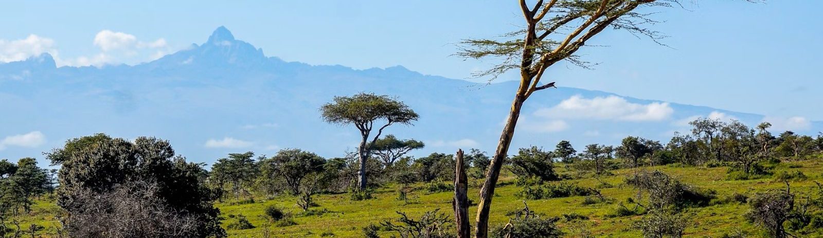 Rondreis Kenia, Mount Kenia, Olifanten met Mount Kenia op de achtergrond