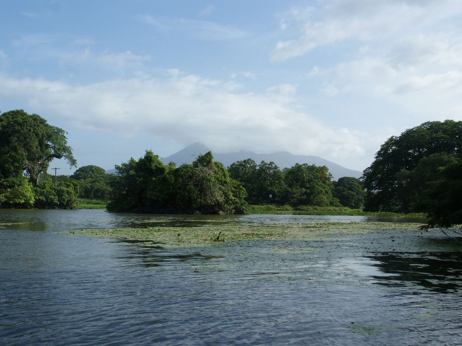 Rondreis Nicaragua, Las Isletas, begroeiing