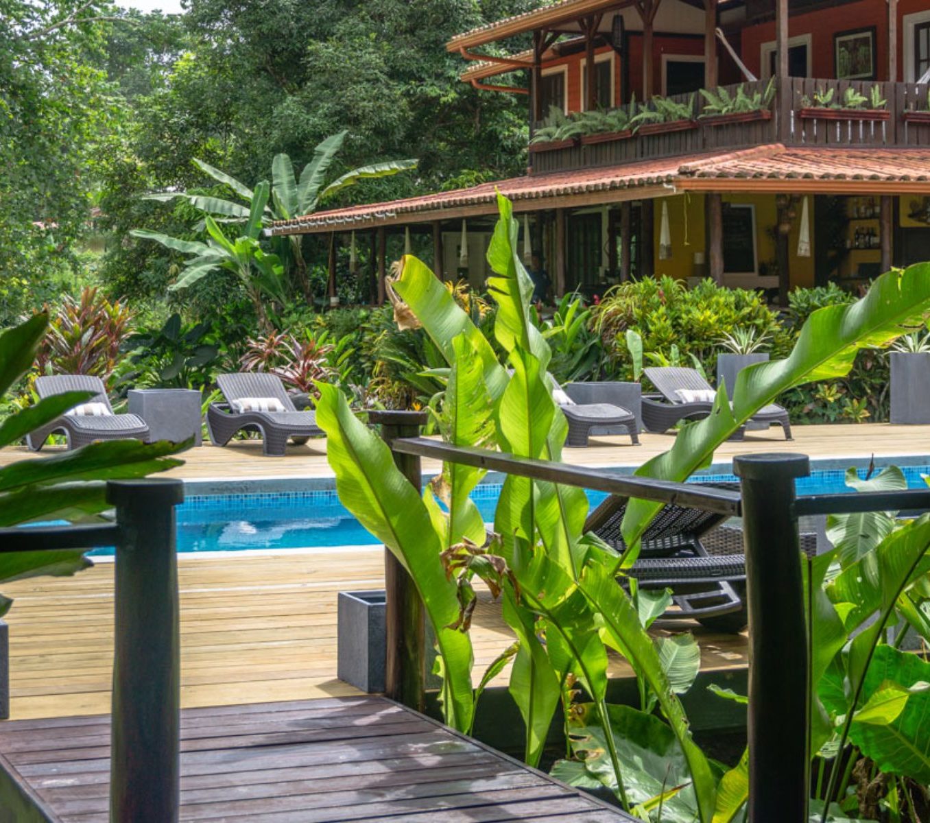 Rondreis Panama, Bocas del Toro, Island Plantation Resort, zwembad met ligstoelen