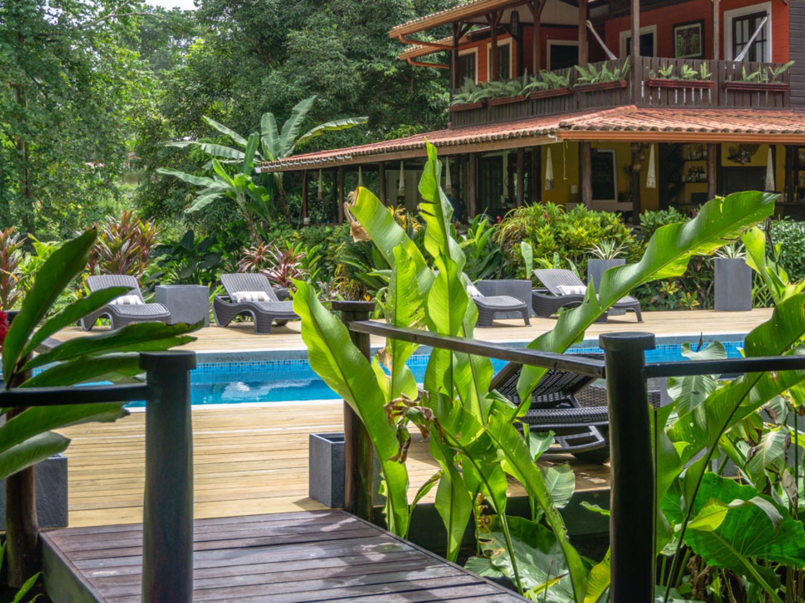 Rondreis Panama, Bocas del Toro, Island Plantation Resort, zwembad met ligstoelen