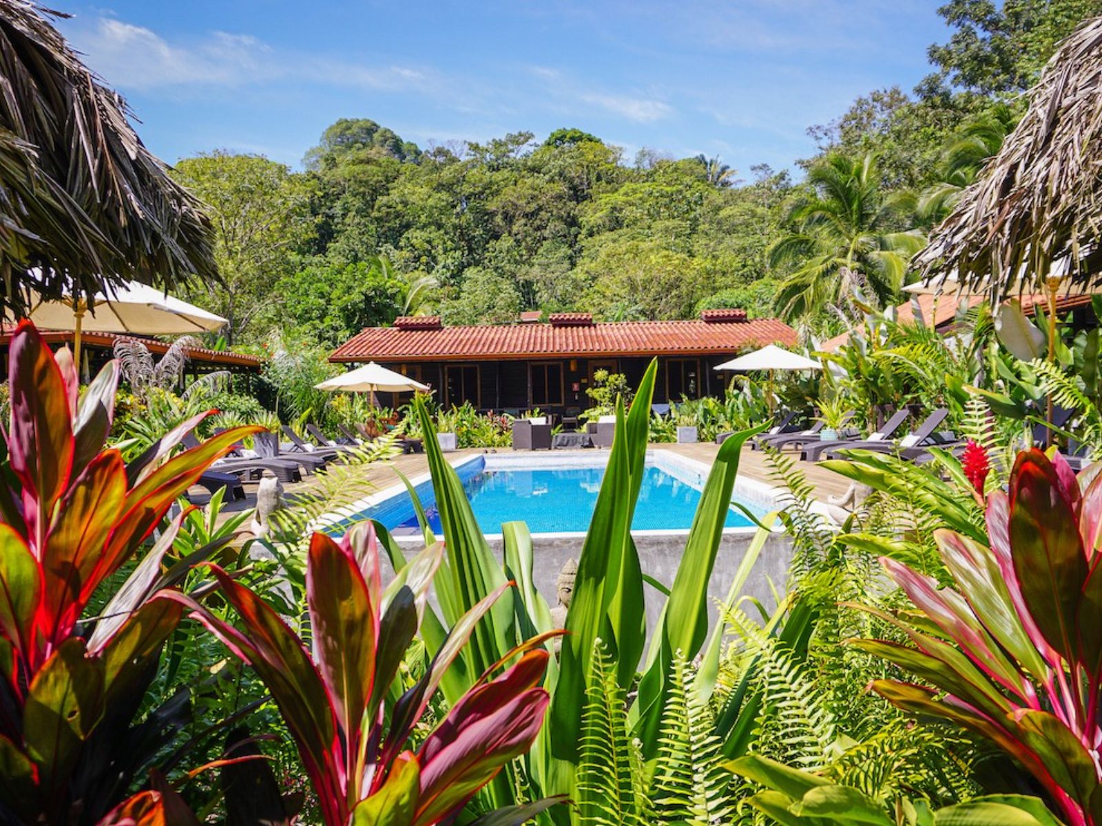 Rondreis Panama, Bocas del Toro, Island Plantation Resort, zwembad