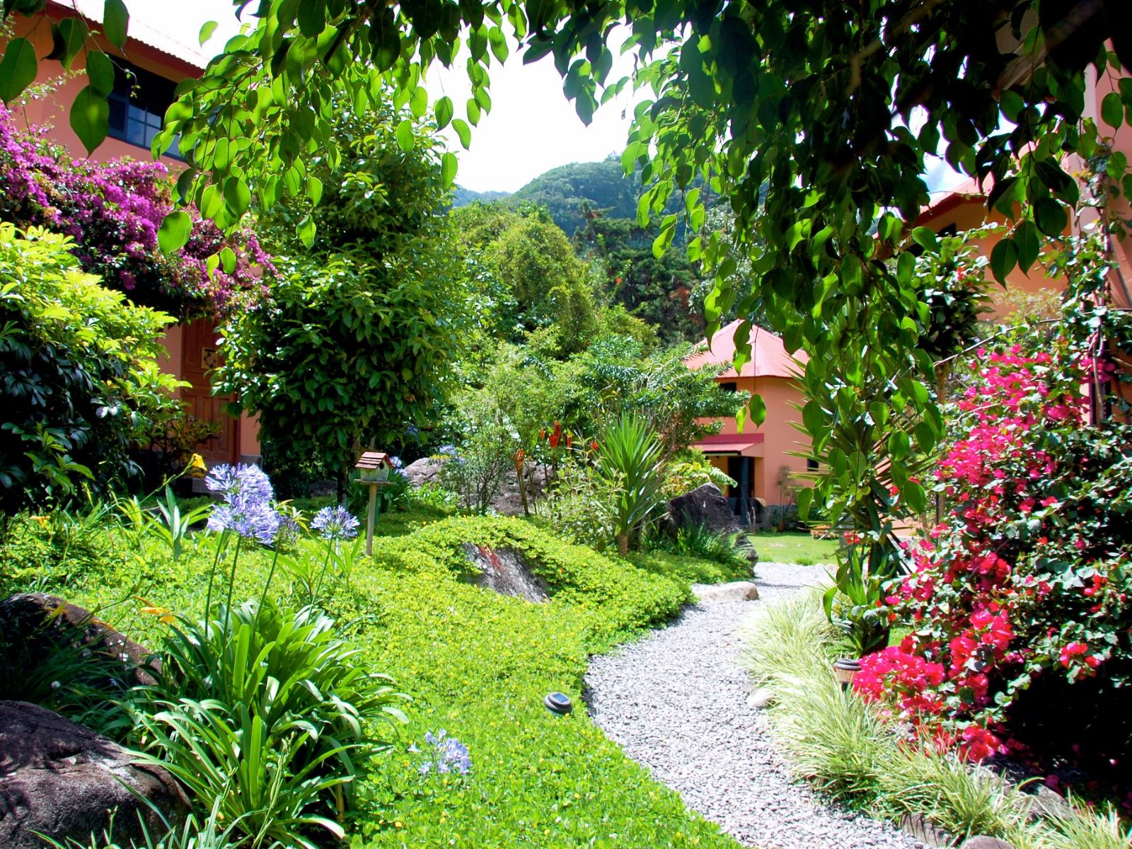 Rondreis Panama, Boquete, Garden Inn, pad