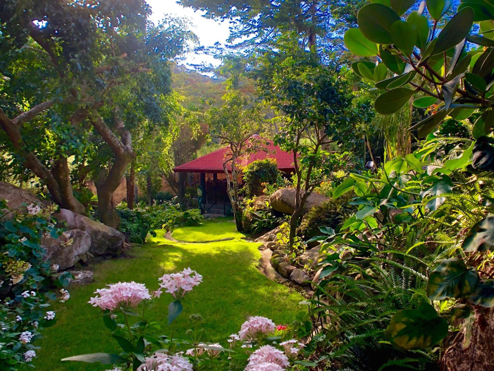 Rondreis Panama, Boquete, Garden Inn, tuin