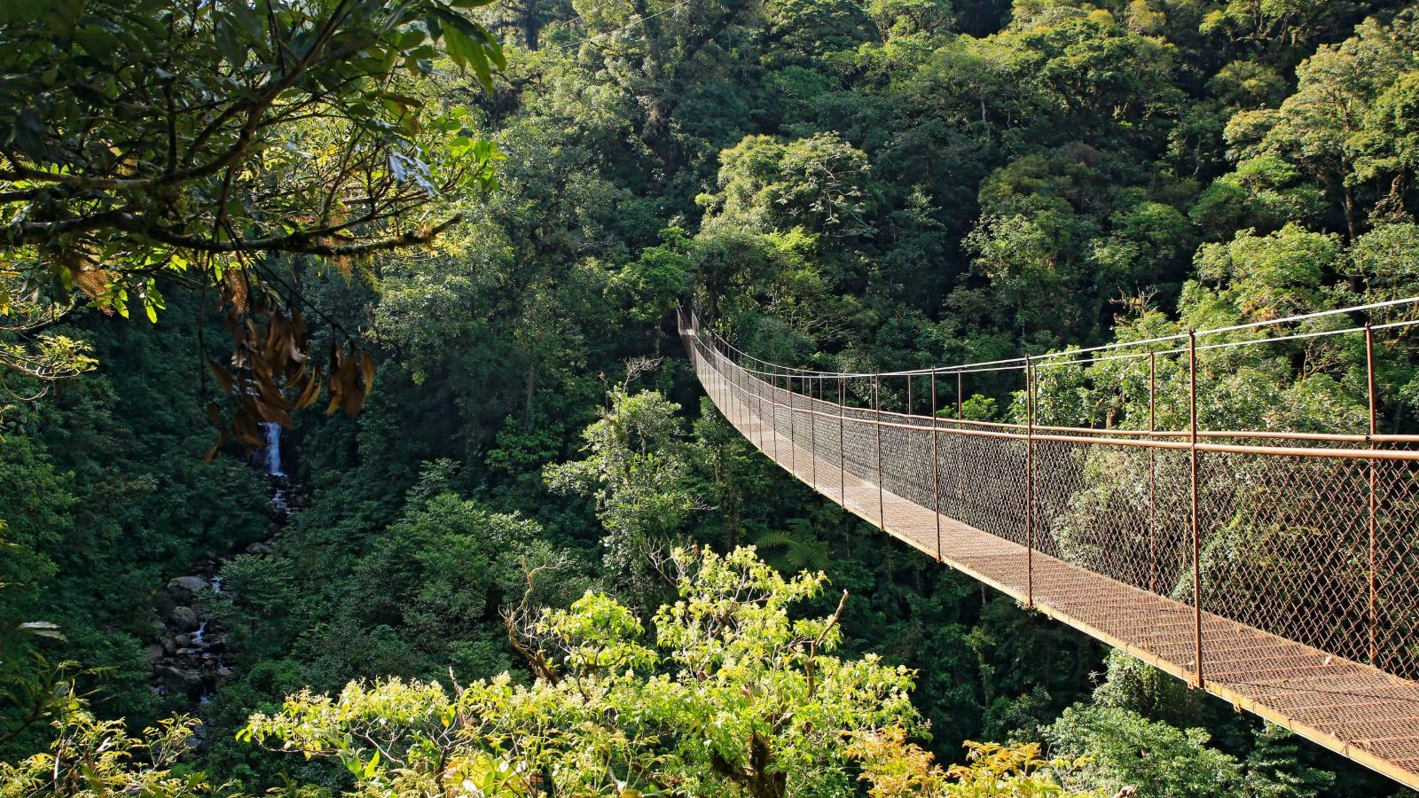 Rondreis Panama, Boquete, brug
