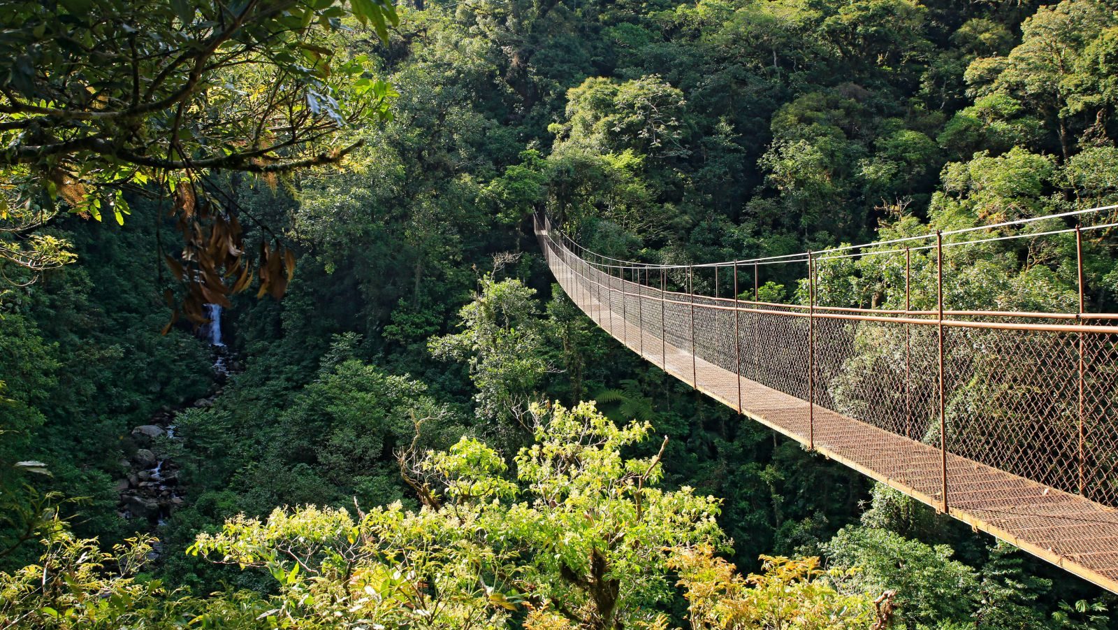 Rondreis Panama, Boquete, brug