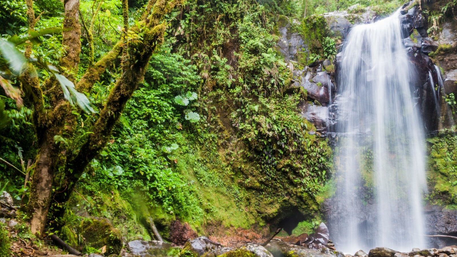 Rondreis Panama, Boquete, waterval