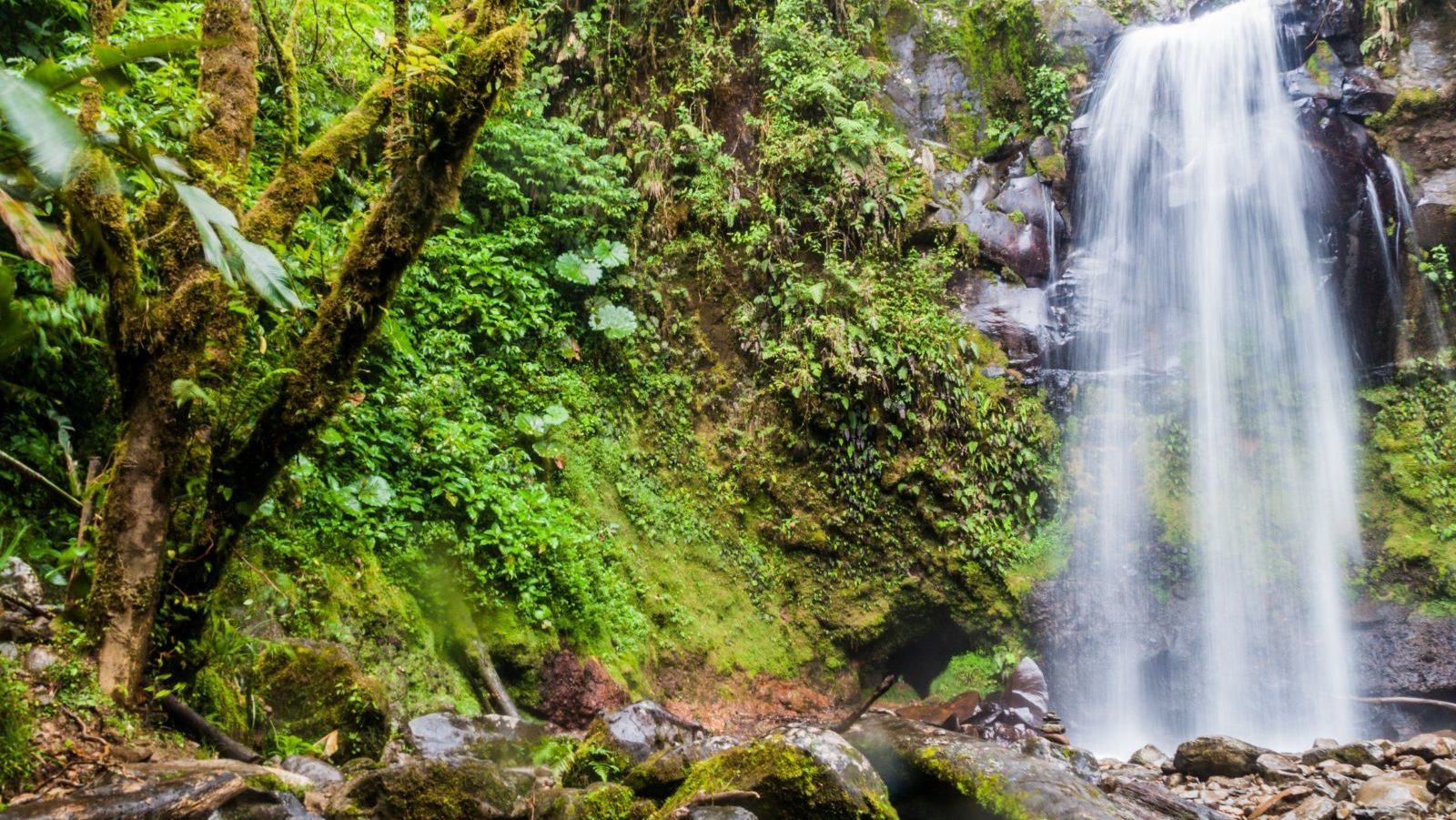 Rondreis Panama, Boquete, waterval