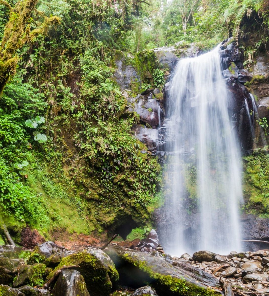 Rondreis Panama, Boquete, waterval