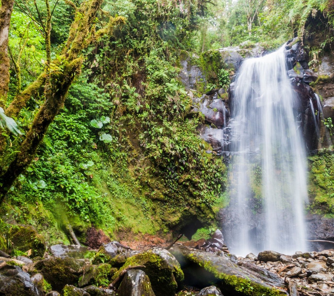 Rondreis Panama, Boquete, waterval