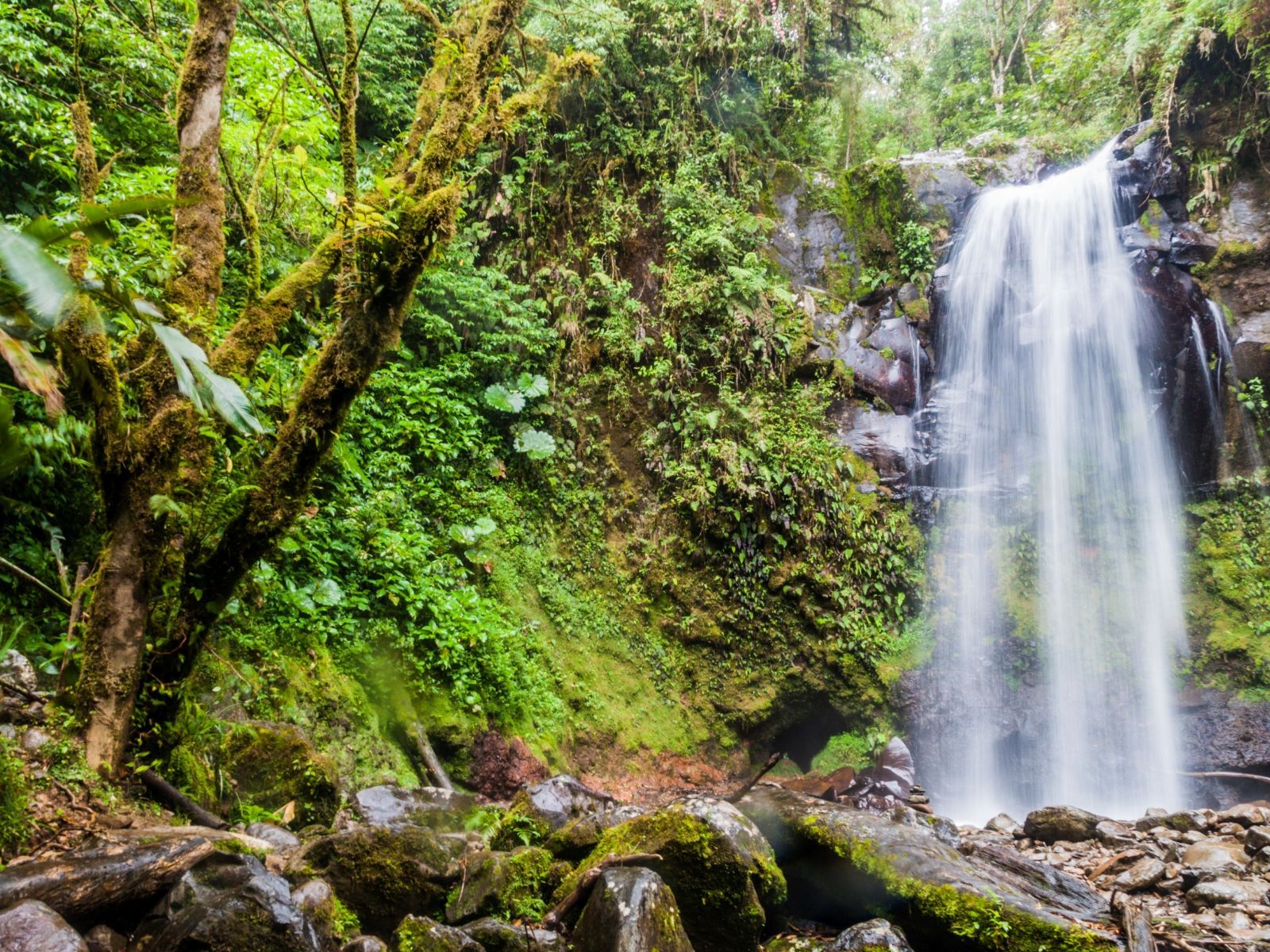 Rondreis Panama, Boquete, waterval