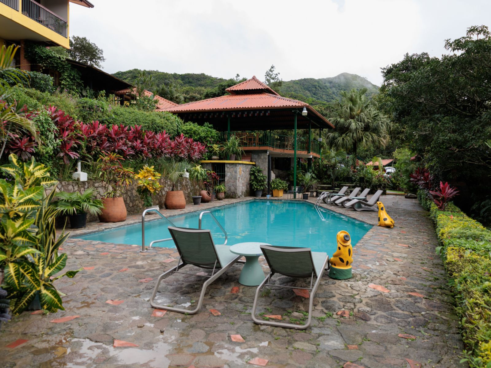 Rondreis Panama, El Valle de Antón, The Golden Frog Inn, zwembad