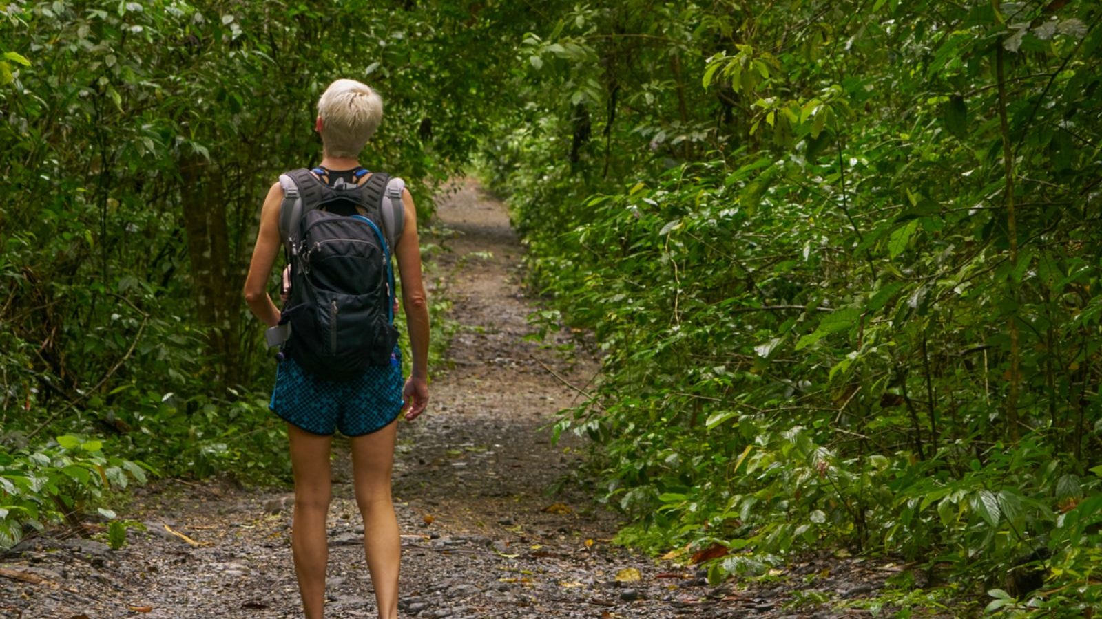 Rondreis Panama, Nationaal Park Soberania, vrouw die wandelt