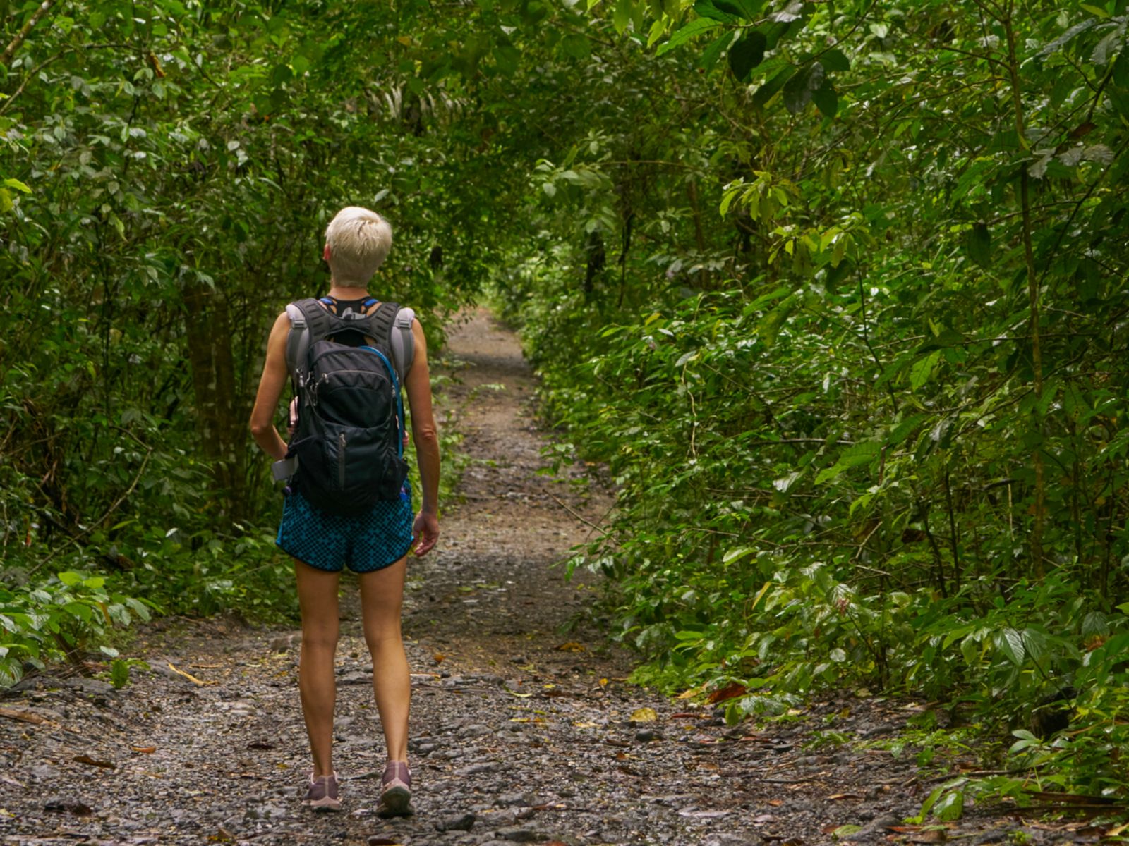 Rondreis Panama, Nationaal Park Soberania, vrouw die wandelt
