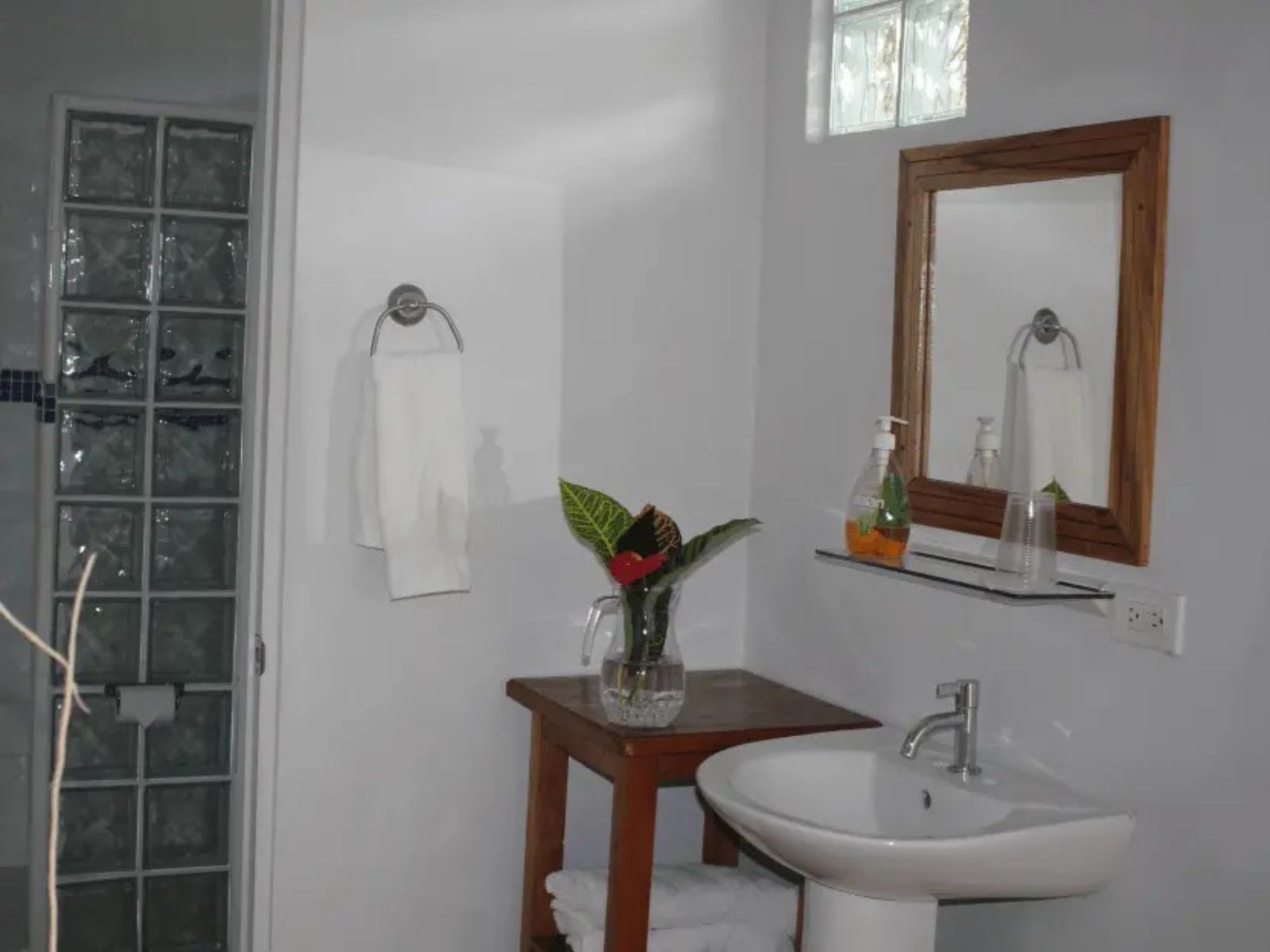 Rondreis Panama, Santa Fe, Coffee Mountain Inn, badkamer