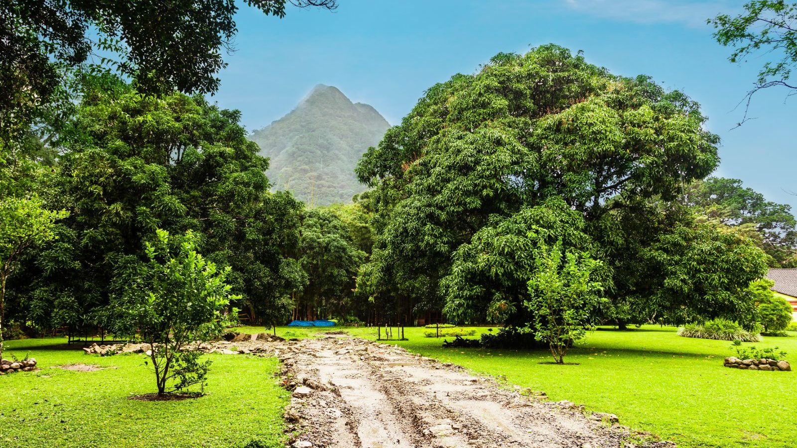 Rondreis Panama, Valle de Antón, weg