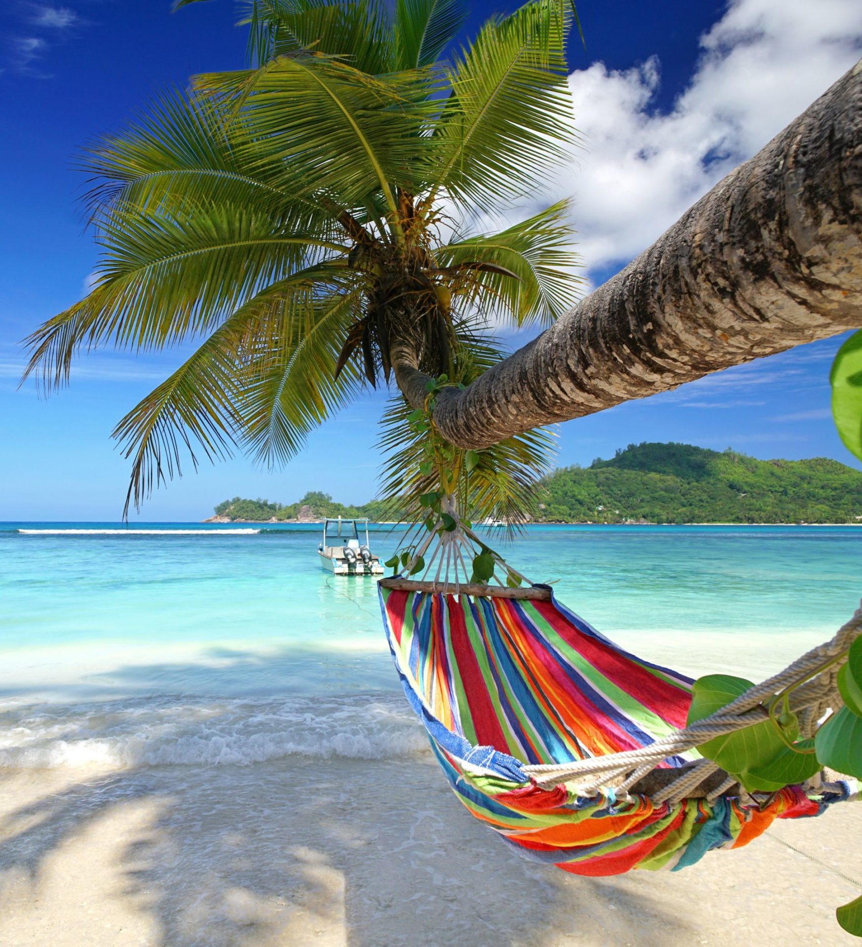 Rondreis Seychellen, Mahé, hangmat aan een palmboom